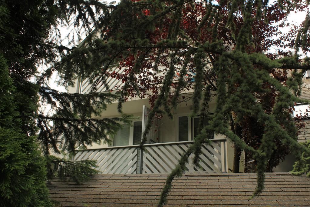 Appartement Vila Apartment Bled Lake Bled